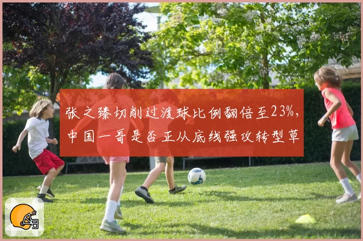 张之臻切削过渡球比例翻倍至23%,中国一哥是否正从底线强攻转型草地打法?