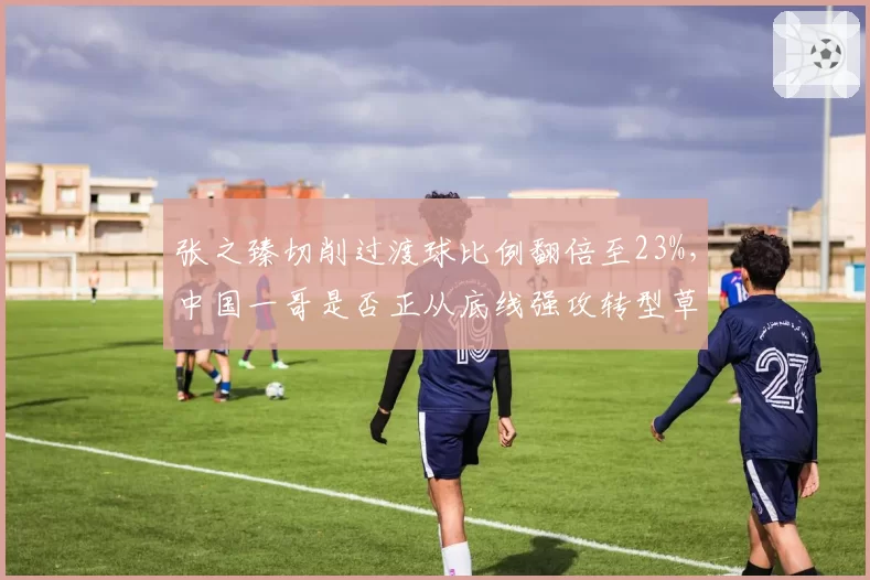 张之臻切削过渡球比例翻倍至23%,中国一哥是否正从底线强攻转型草地打法?