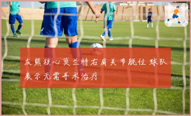 灰熊核心莫兰特右肩关节脱位 球队表示无需手术治疗