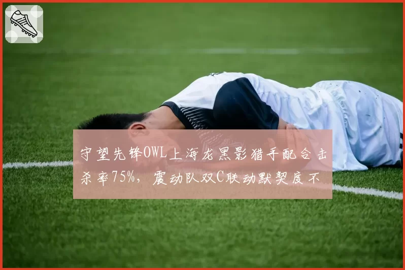 守望先锋OWL上海龙黑影猎手配合击杀率75%，震动队双C联动默契度不足
